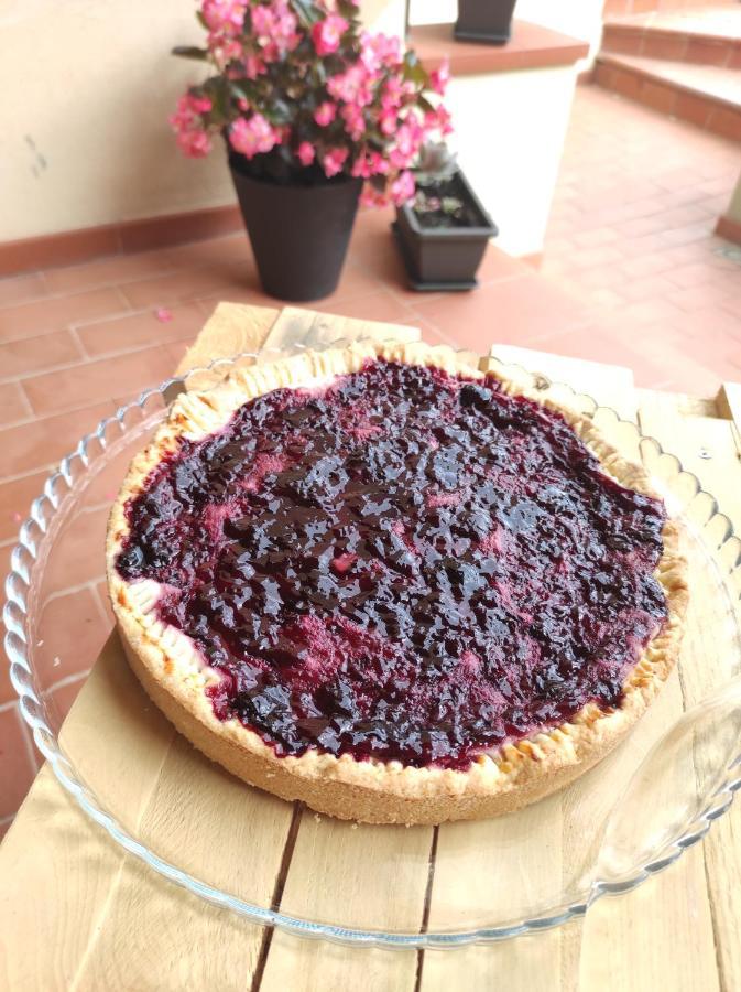 Sonnellino In Maremma Villa Маса Маритима Екстериор снимка