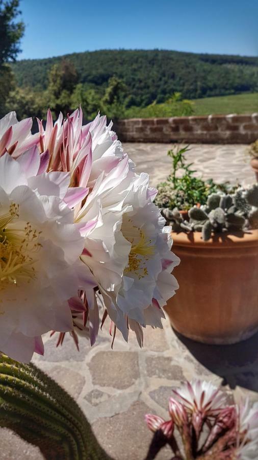 Sonnellino In Maremma Villa Маса Маритима Екстериор снимка