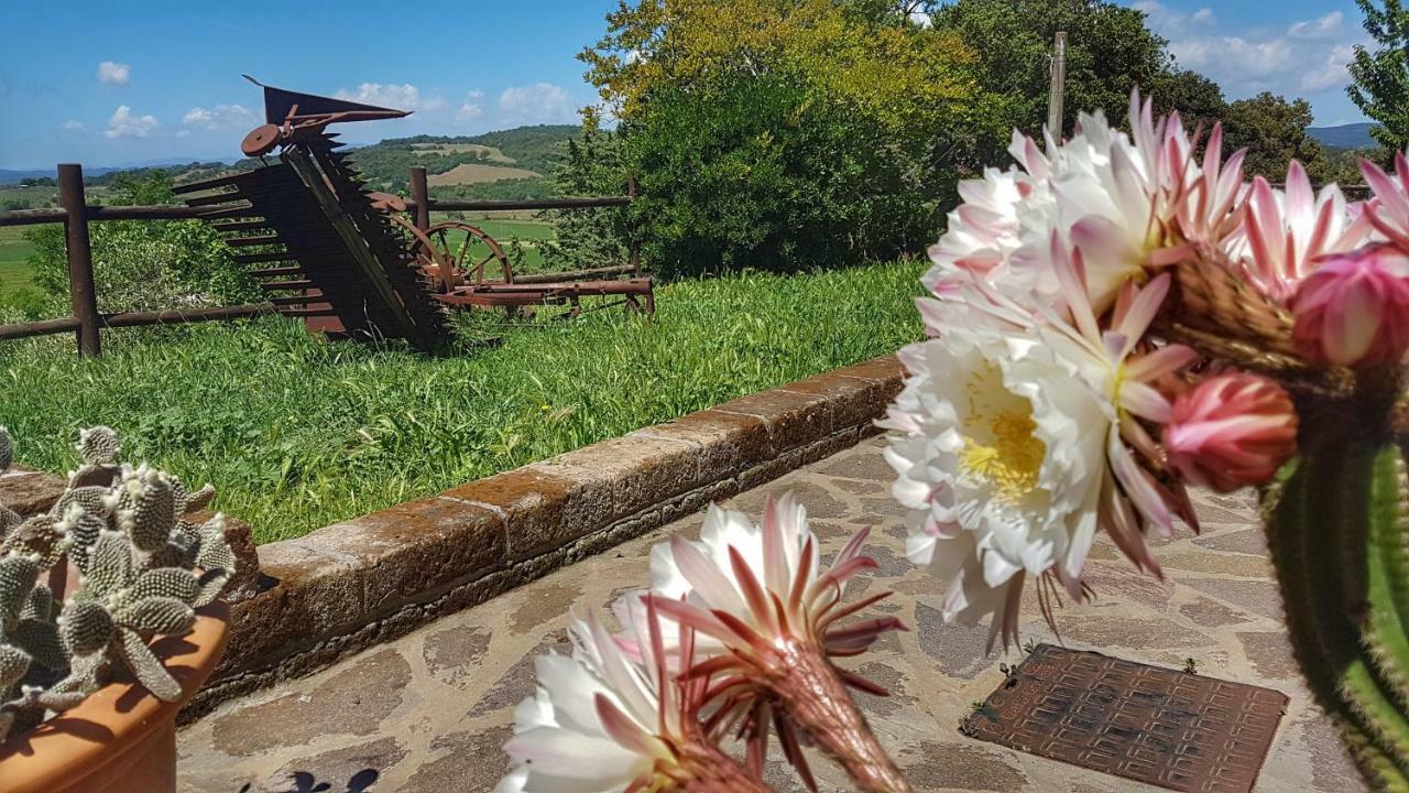 Sonnellino In Maremma Villa Маса Маритима Екстериор снимка