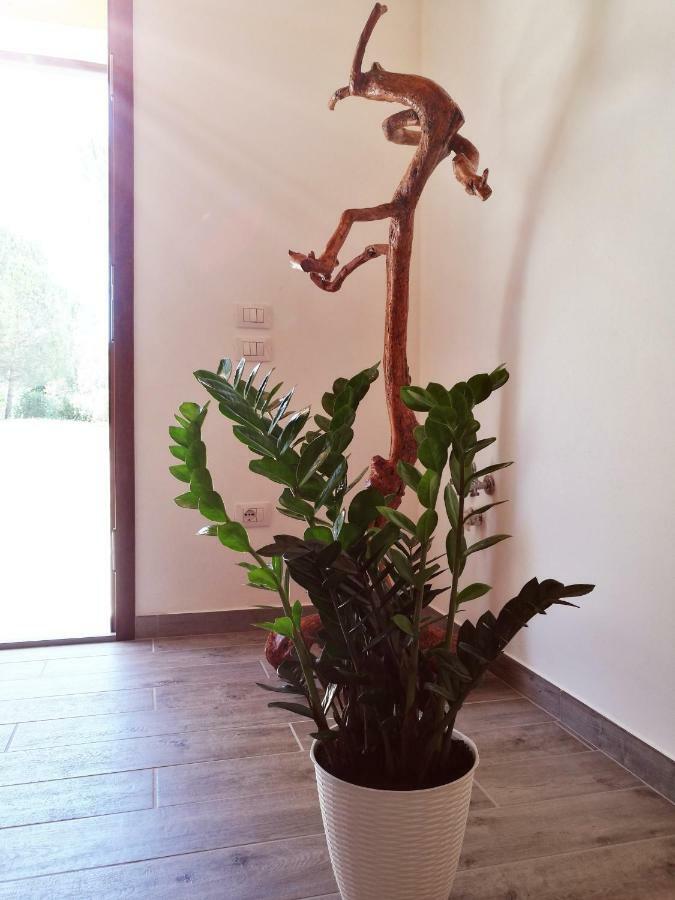 Sonnellino In Maremma Villa Маса Маритима Екстериор снимка